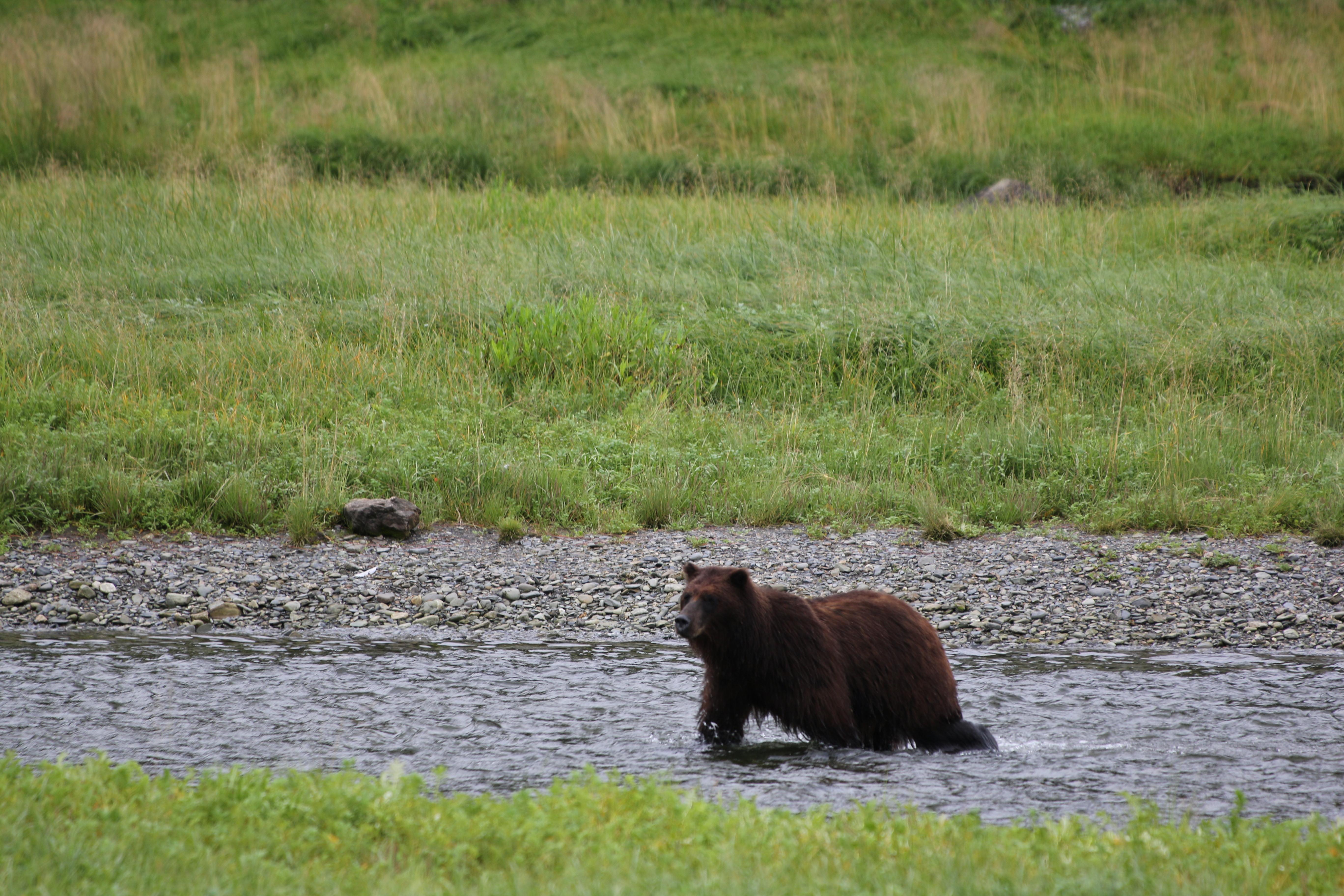 Alaska